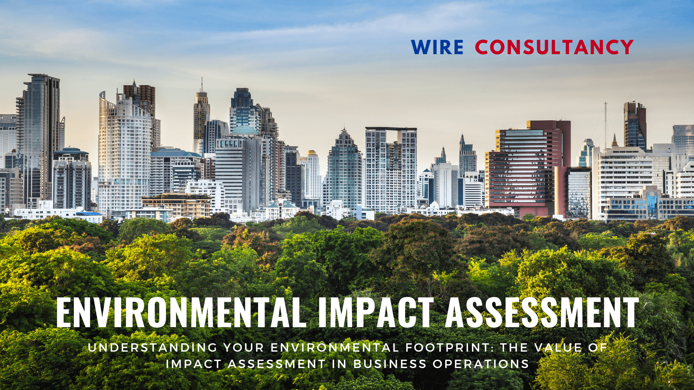 Understanding Your Environmental Footprint: The Value of Impact Assessment in Business Operations