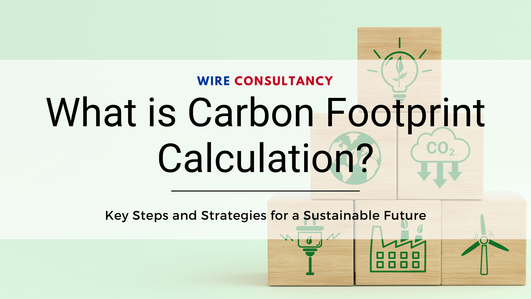 What is Carbon Footprint Calculation? Key Steps and Strategies for a Sustainable Future
