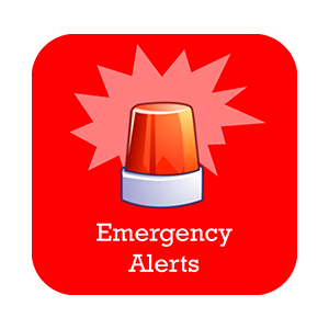 Emergency Safety Animation